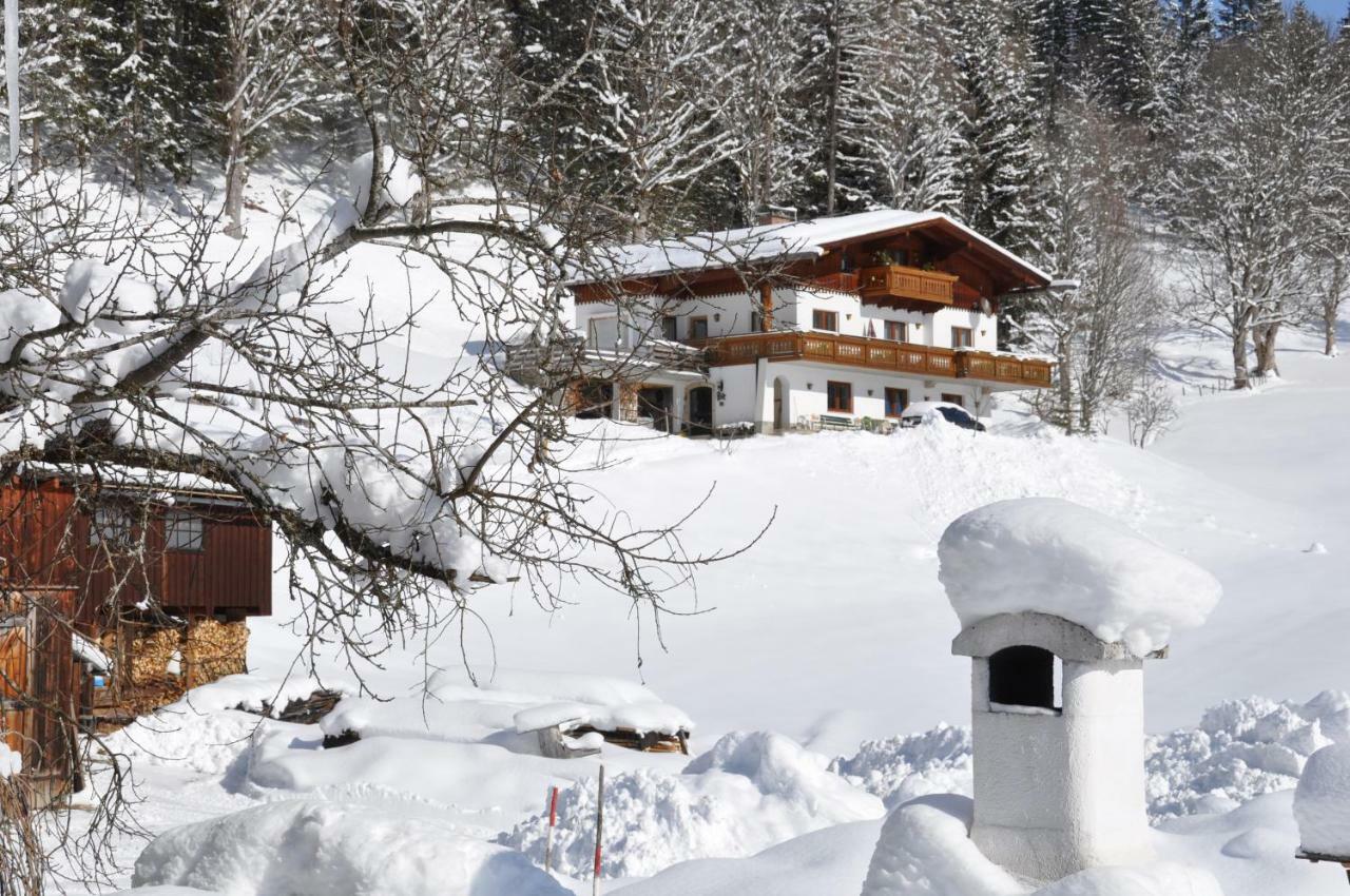 Gaestehaus Erle Ramsau am Dachstein Exterior photo